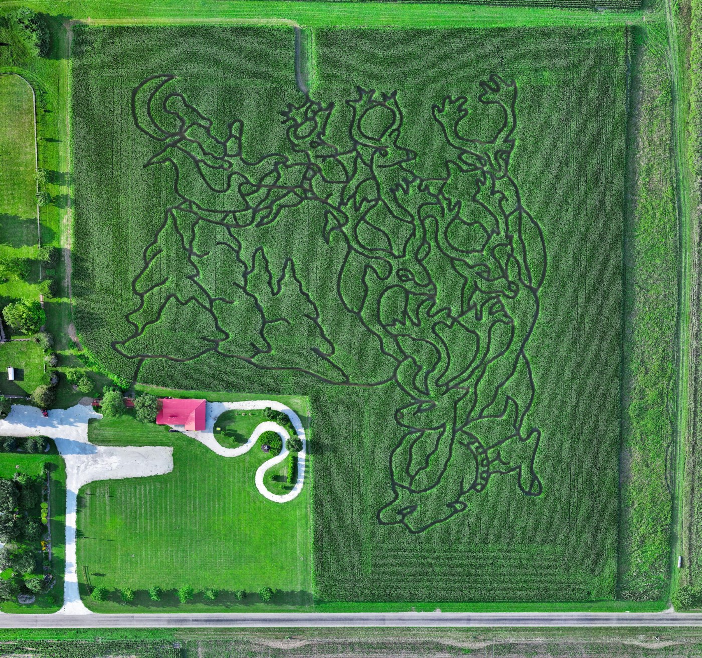 Reindeer Games Corn Maze 2025
